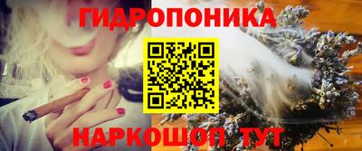 дмт Лесосибирск
