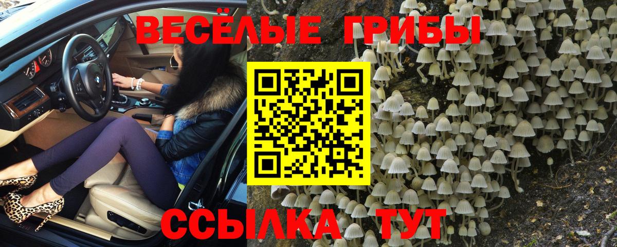 Звенигород  Псилоцибиновые грибы Magic Shrooms  Вход с VPN 